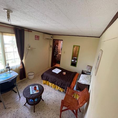 Aruba Backpackers Apartment Oranjestad Exterior foto