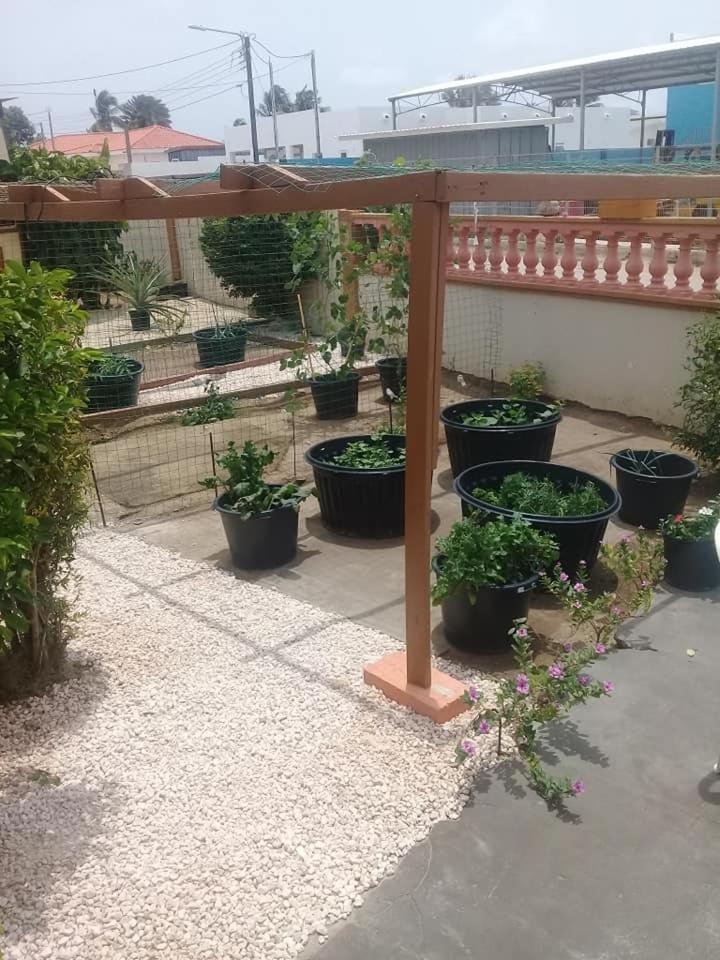 Aruba Backpackers Apartment Oranjestad Exterior foto